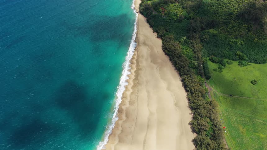 Strip of golden sand separates the blue sea from the dense coastal vegetation