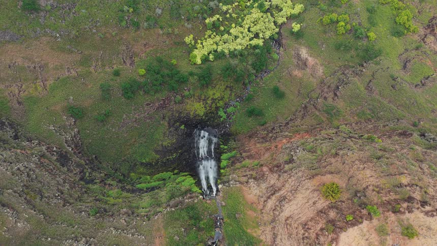 Small waterfall nestled in a rocky slope covered with low vegetation and scattered trees