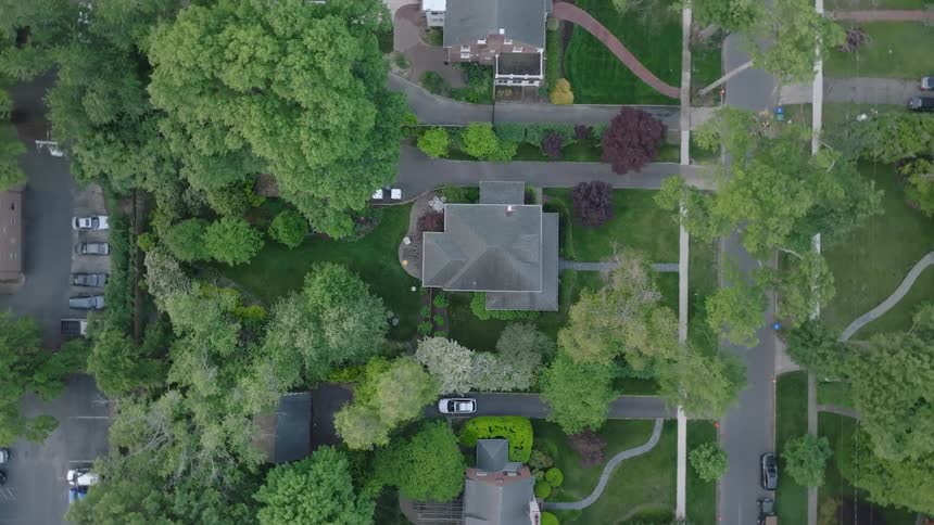 Trees are around the homes in the suburbs
