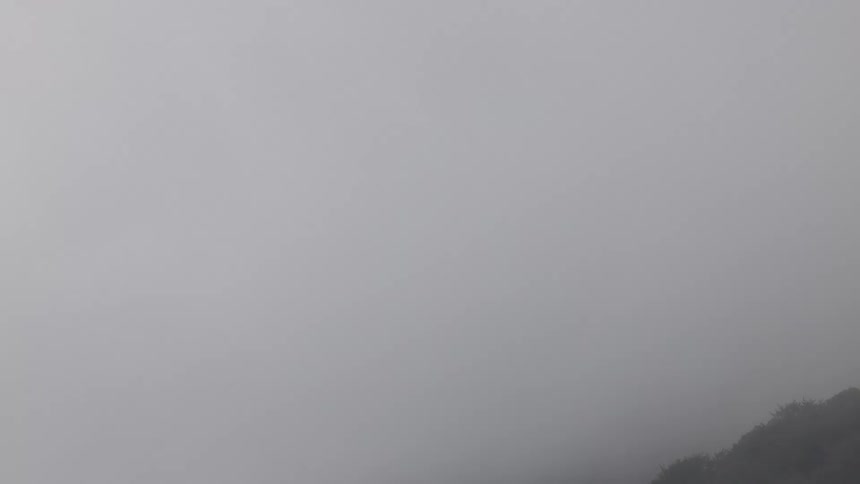 A misty forested mountain partially obscured by thick fog