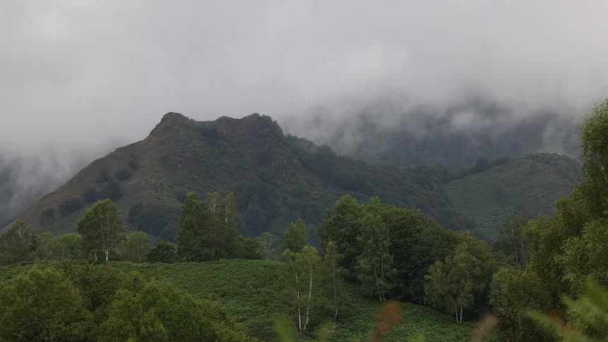 A large green hill is partially covered by a thick blanket of fog which slowly rolls over the trees and the top of the ridge