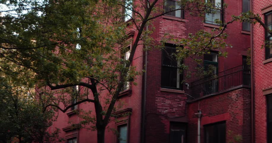 A large tree with green leaves partially covers the facade of an red brick building which has multiple windows and a small balcony with a black railing