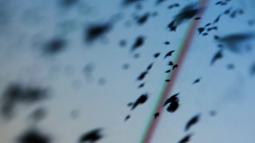 Abstract screen displaying black birds flying in circular motion