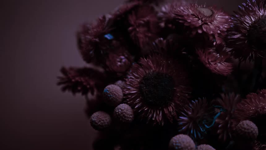 A bouquet of purple flowers