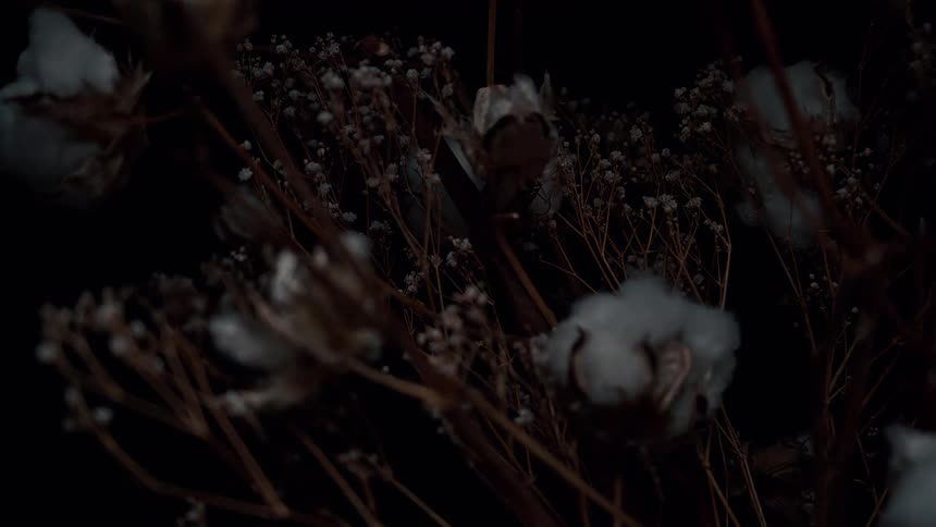 A closeup shot of a rustic floral arrangement featuring dried cotton plants with fluffy white cotton balls and other small white dried flowers