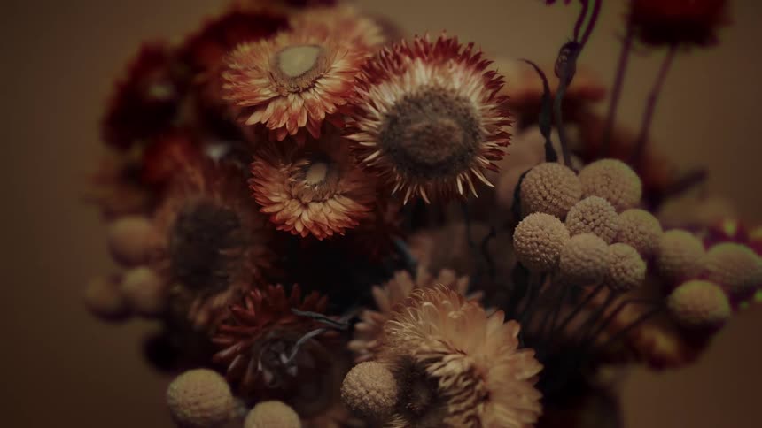 The video shows a tight shot of a bouquet of dried flowers the camera slightly pans across the arrangement highlighting the various brown beige and reddishorange tones of the different types of flowers