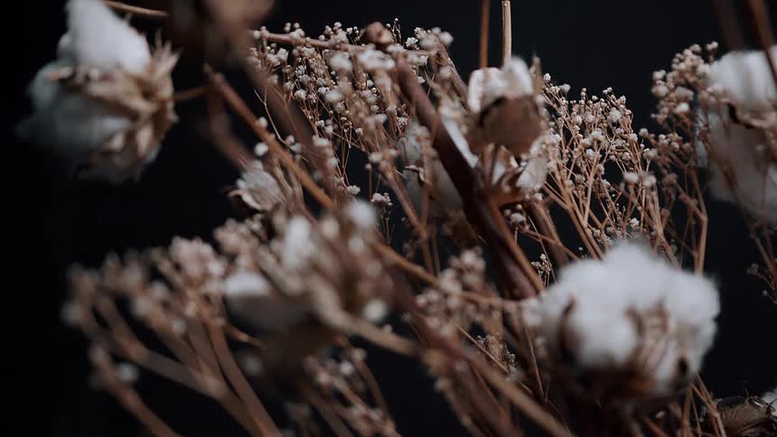 Snow settles in flower buds