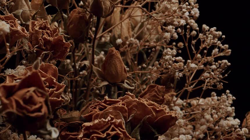 A bouquet of dried flowers