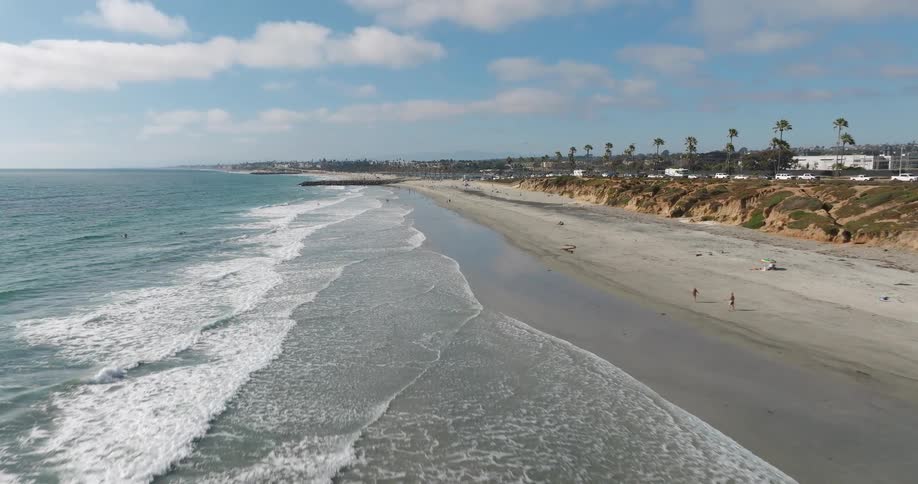 The coastline lined with palm trees as waves from the sea hit the shore at midday