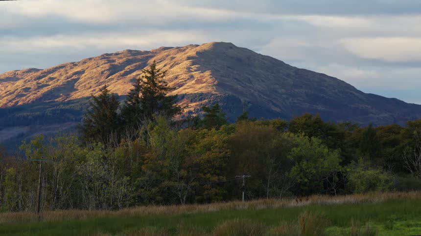 Sunlit mountain with vegetation and trees in the foreground