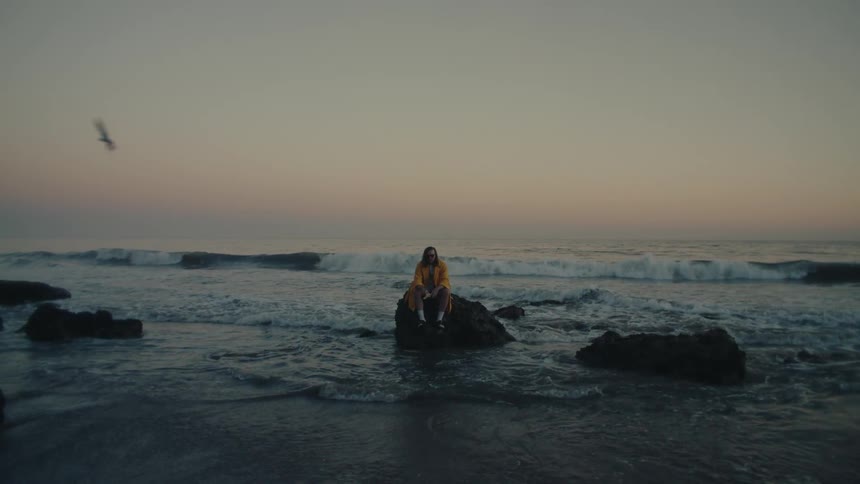 A person sits on a rock in the ocean at sunset as gentle waves roll in and a bird flies by in the distance