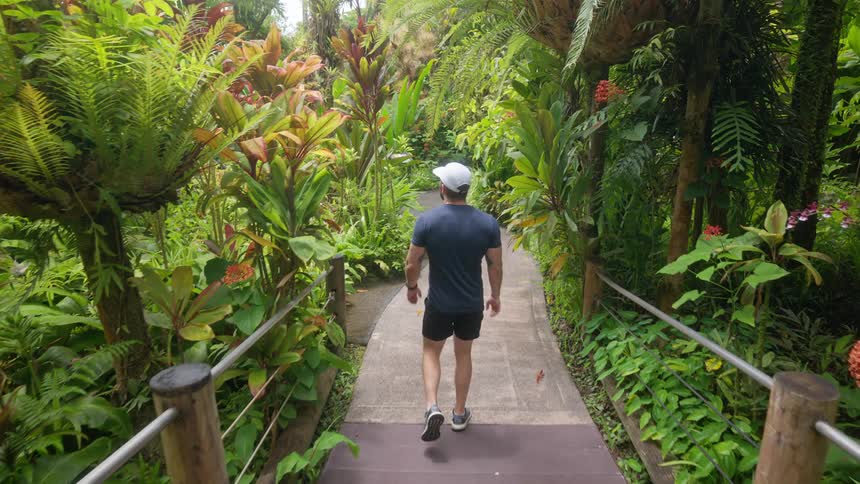 Man looks around while walking across a bridge and along a path through a lush tropical garden on a summer day