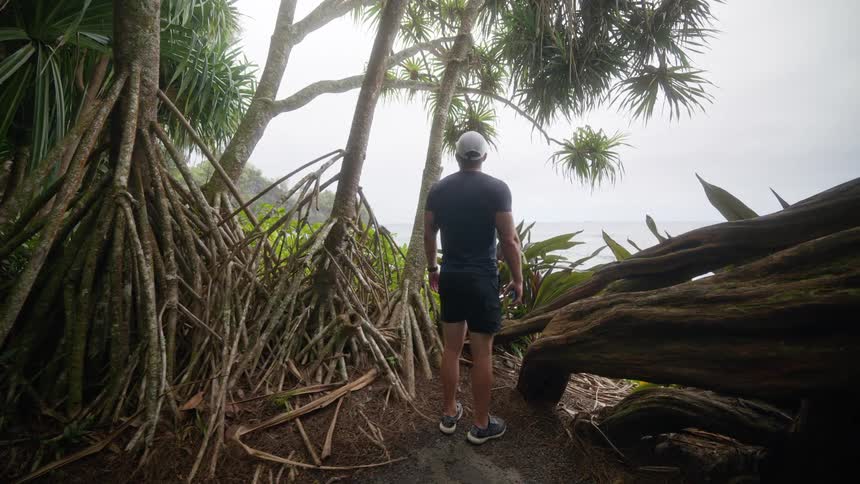 A man walking along a lush tropical cliffside path eventually panning out to reveal a rugged coastal landscape with waves crashing on the rocks below