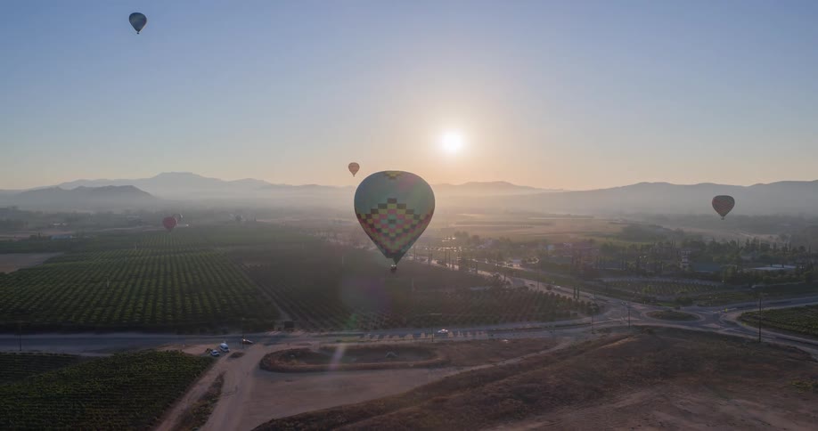 Colorful hot air balloons drift above a valley of orchards at sunrise