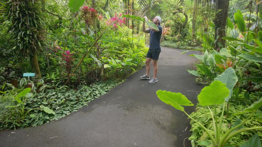 A young bearded man walks along a path in the woods wearing shorts a baseball hat and a blue tshirt as he takes pictures of the scenery at midday
