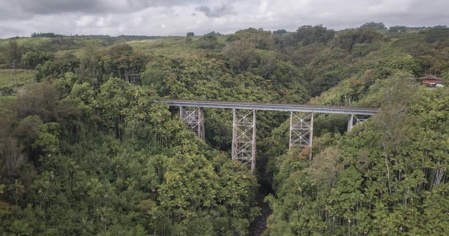 The video shows an elevated view of a long metallic bridge spanning a deep lush green valley the bridge is surrounded by dense trees and foliage with a cloudy sky above