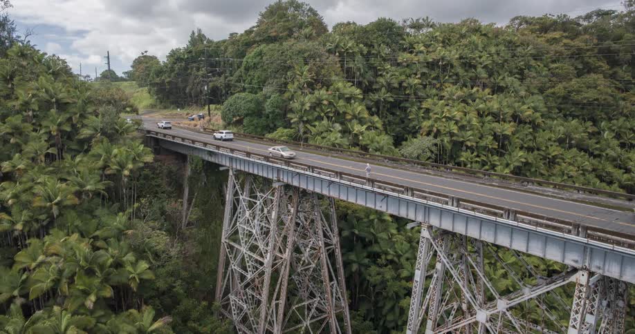 A series of cars driving across a bridge surrounded by trees at midday
