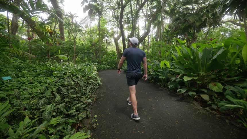 Man walking through a rainforest park