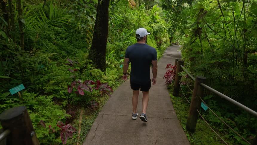 Man walking on a wooden walkway surrounded by tropical vegetation