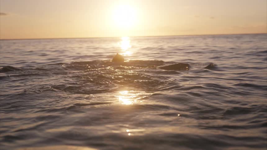Man stretches out his arms and swims in the water as the sun glows on the horizon