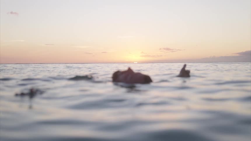 Person swimming in the sea at sunset with focus on the waves in the foreground