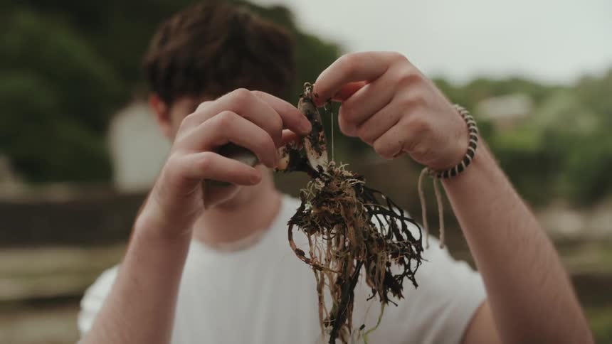 Man examining seaweed held with both hands
