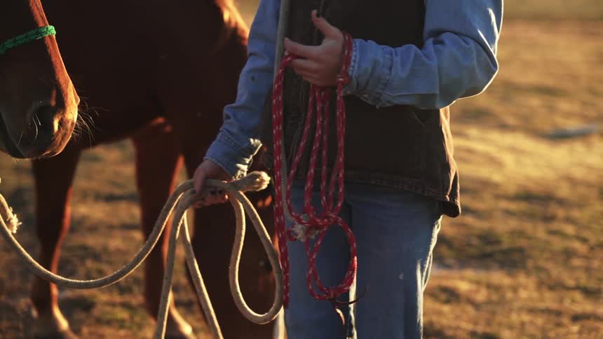 A cowgirl wearing a denim shirt a brown vest and a red bandana is holding and adjusting several ropes as she stands next to a brown horse in a sunlit grassy field