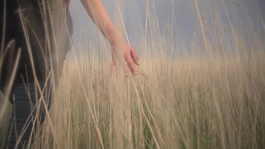 Woman walking through a field and gliding her hand on the weeds