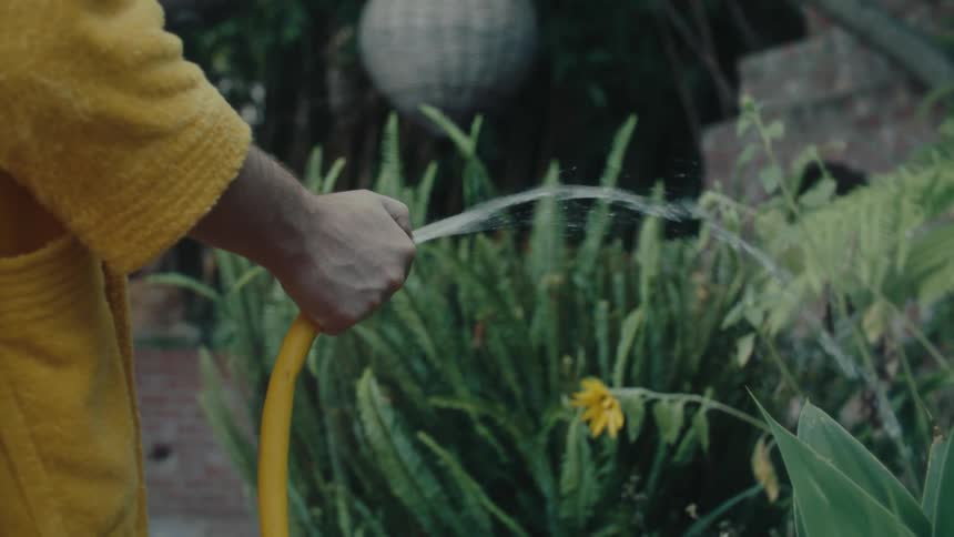 A person wearing a textured yellow bathrobe is holding a yellow hose and watering a small yellow flower and other green plants in a garden