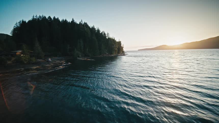 Coastal view with dense forest at sunset