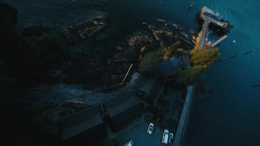 Forests and mountains along the coast with buildings and a pier and marina with boats