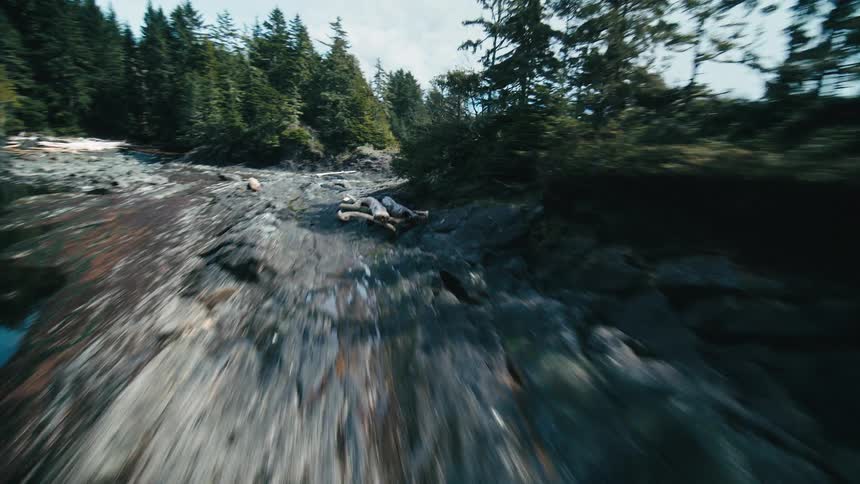 Aerial view of a strip of flat rocks separating a forest from the sea