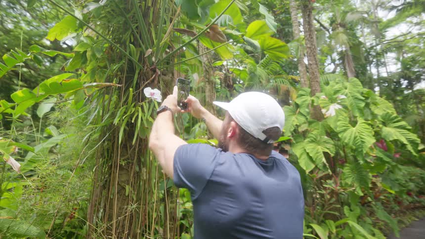 Man photographing nature in tropical garden
