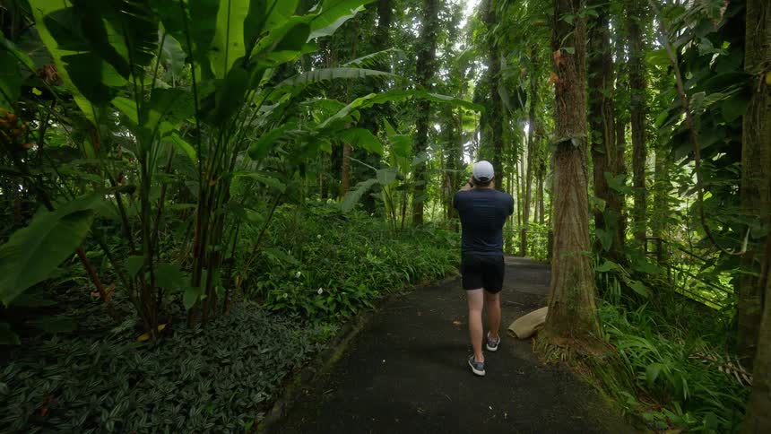 A man wearing a white baseball cap a dark blue tshirt and black shorts is walking down a paved path in a lush botanical garden before stopping to use his smartphone to take pictures of the tall trees and hanging vines
