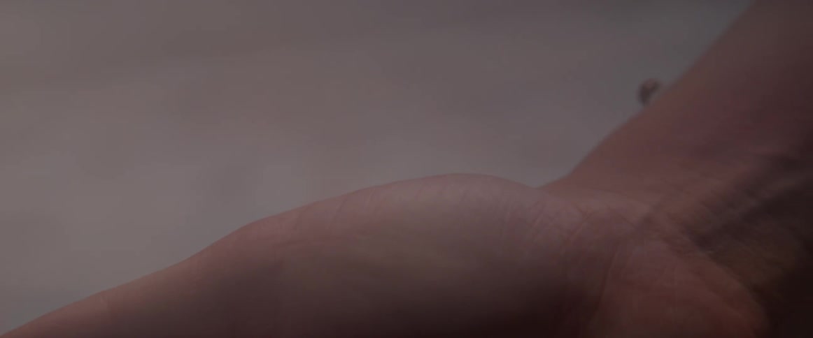 A lady bug walks on someone's arm