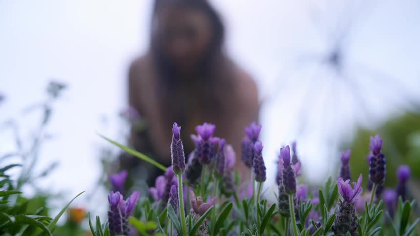 Woman looks through her garden on a summer day and harvests root vegetables