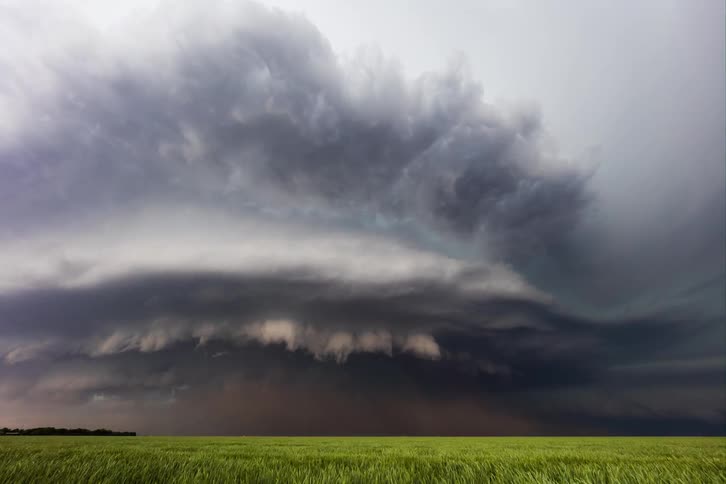 Dark storm clouds loom over a flat grassy plain