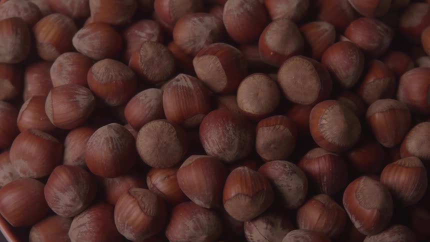 A pile of hazelnuts are spinning