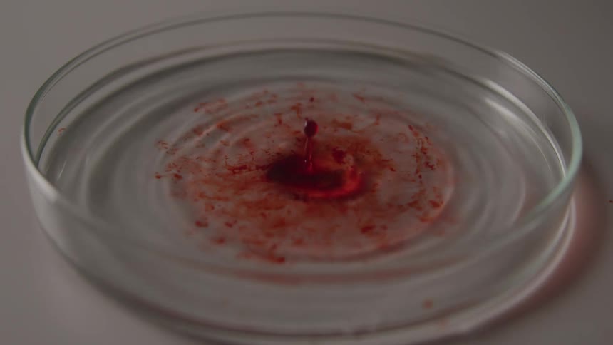 Red droplet falling into clear liquid inside a petri dish creating ripples