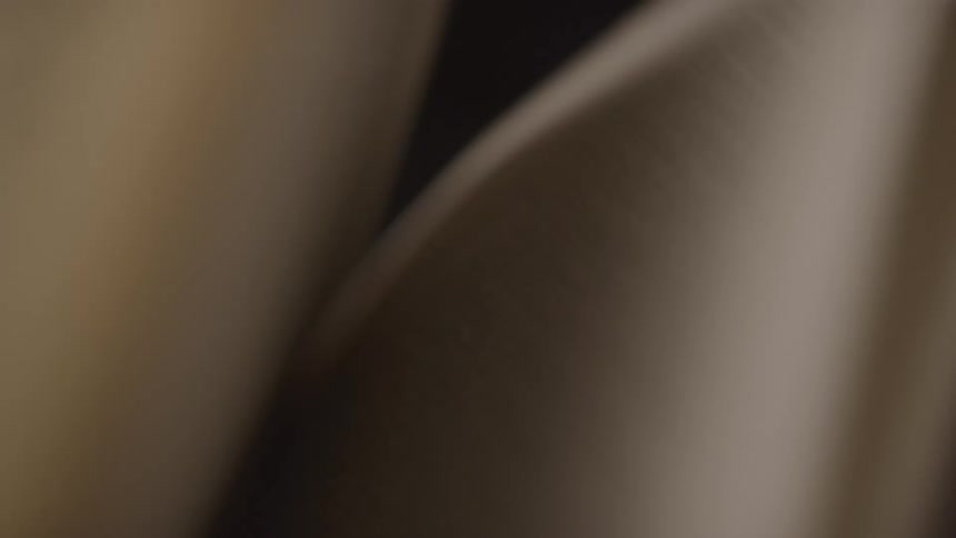Softfocus pages of an open book curve inward toward the spine