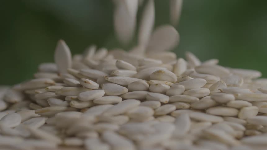 Pumpkin seeds pile upon one another