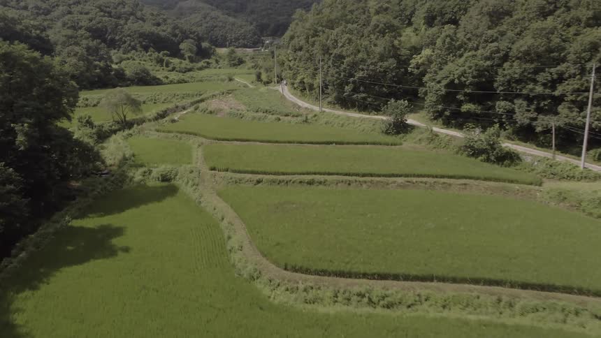 A vehicle passes down a rural road
