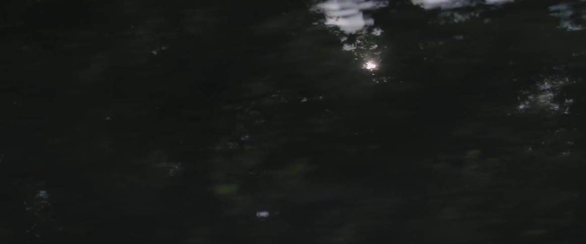 Sunshine peeks through green trees