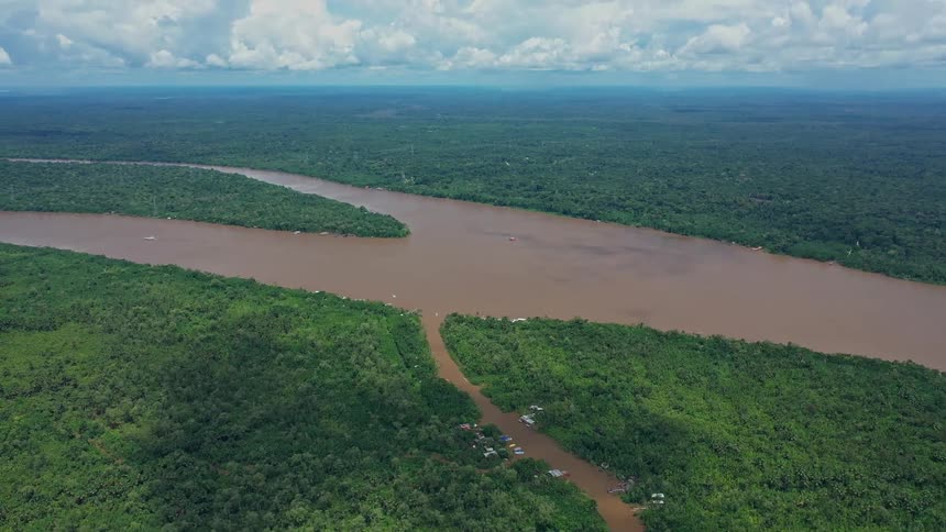A large forest with a river running through it