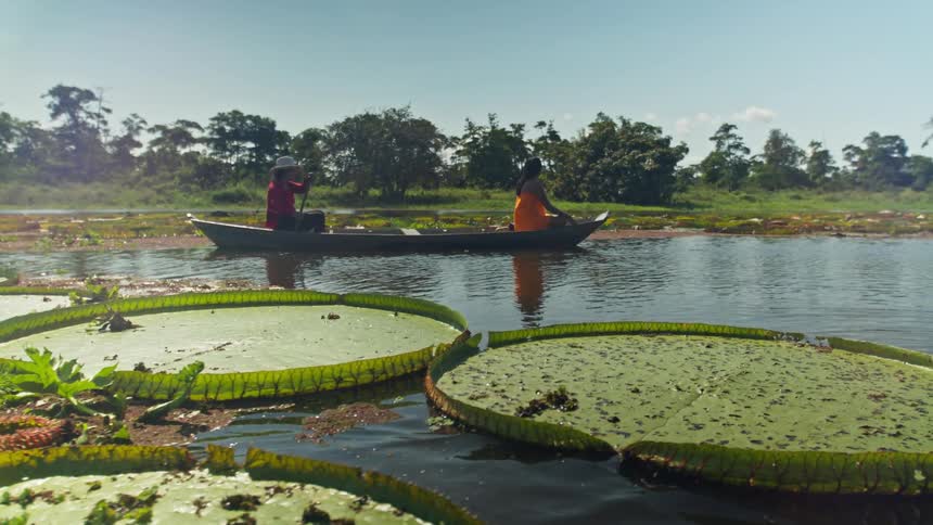 Two women paddle a wooden boat through a waterway filled with large lily pads