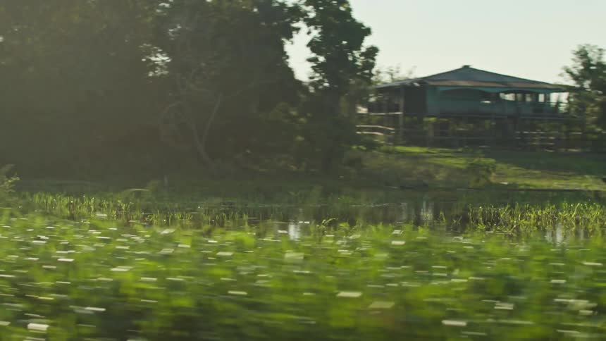 A house situated next to a body of water with abundant green foliage under the sunlight giving off a peaceful natural atmosphere