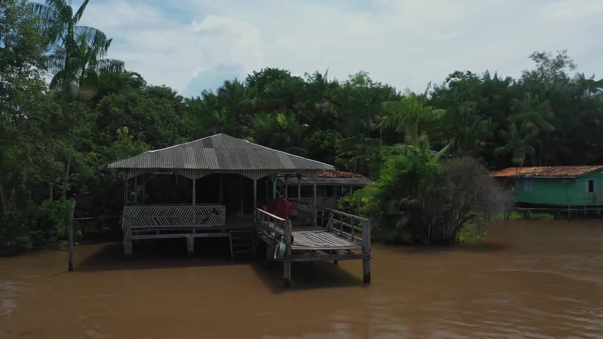 Houses on a river in the middle of a forest