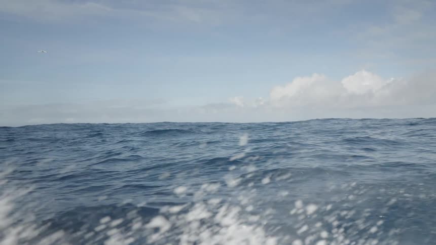 The open ocean on a summer day