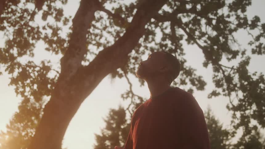 A man wearing a red shirt stands under a tree at sunset looking through his phone