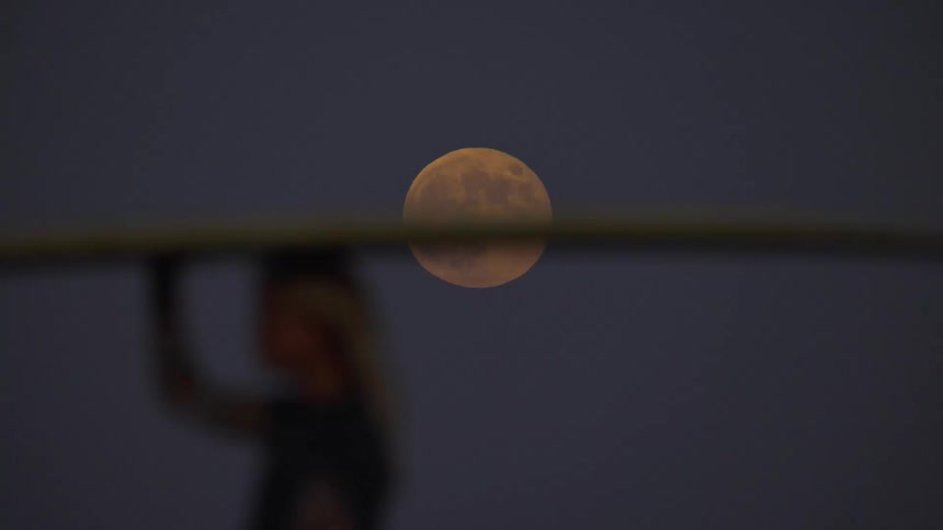 Surfer woman walking and carrying her surfboard with a big fin under the full moon light at night